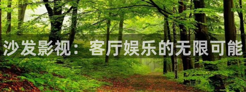 金桔影視哪里下載：沙發(fā)影視：客廳娛樂的無限可能