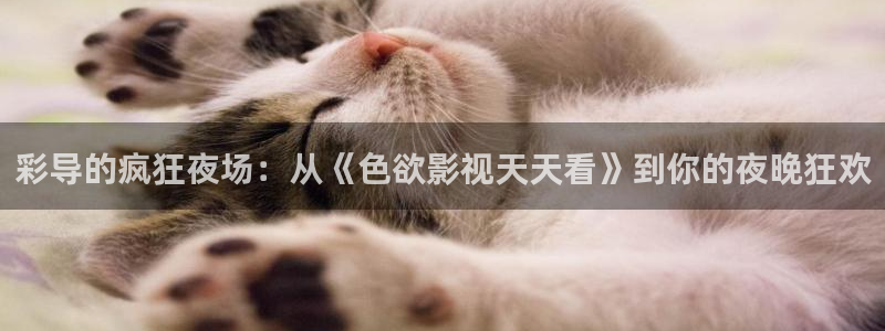金桔影視