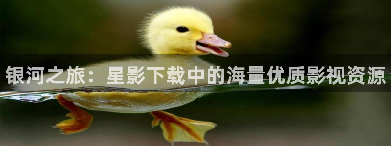 金桔影視哪里下載：銀河之旅：星影下載中的海量優(yōu)質(zhì)影視資源