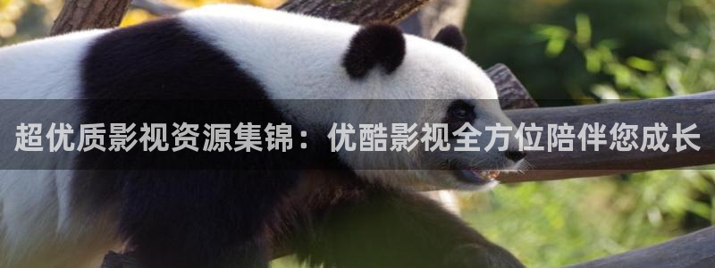 金桔直播視頻觀看：超優(yōu)質(zhì)影視資源集錦：優(yōu)酷影視全方位陪伴您成長