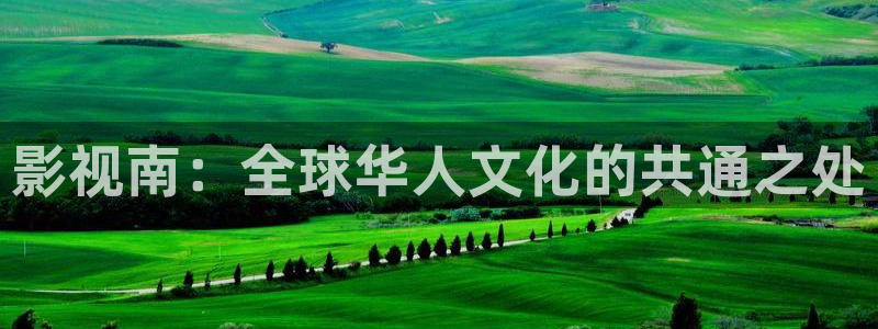 金桔影視app下載：影視南：全球華人文化的共通之處