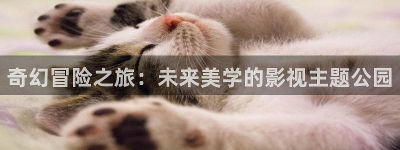 下載金桔視頻：奇幻冒險之旅：未來美學(xué)的影視主題公園
